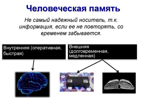Человеческая память: ключевая роль в передаче и сохранении знаний