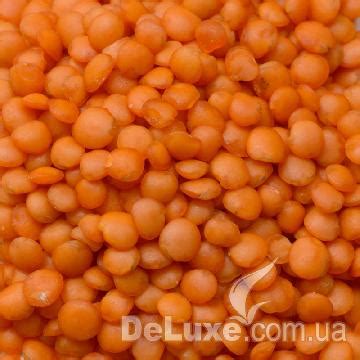 Чечевица - растительный источник белков и клетчатки