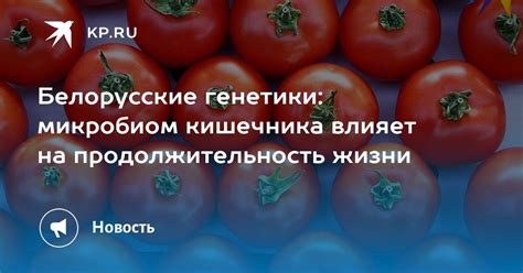 Что влияет на продолжительность нашей жизни: взаимодействие генетики и окружающей среды