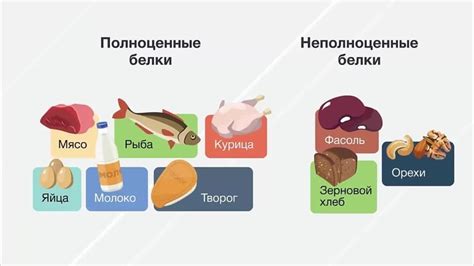 Что такое глобулины и зачем они нужны в организме