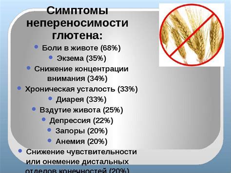 Что такое глобулин и как он влияет на организм собаки