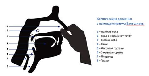 Что такое проба Вальсальвы и как ее выполнить