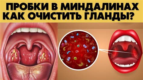 Что такое техника глубокого горла