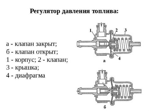 Шаги по определению уровня давления в системе подачи топлива автомобиля марки "Нива"