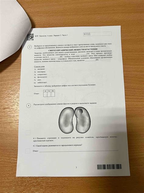 Шаги по созданию основы для устройства, используя выбранные материалы