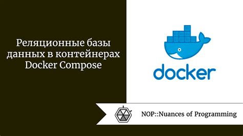 Шаги по устранению привязки данных в Docker Compose