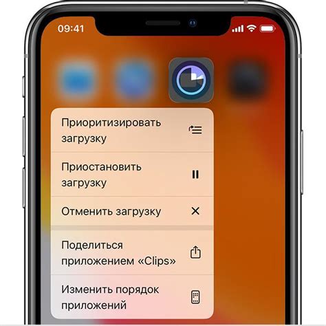 Шаг за шагом: установка популярного приложения на iOS устройство