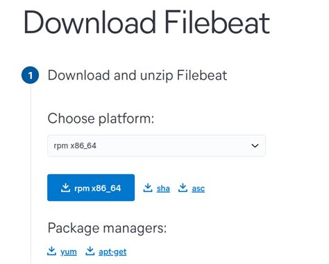 Шаг 1: Загрузка и установка Filebeat