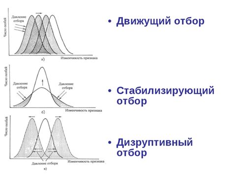 Шаг 1: Отбор подходящей иллюстрации
