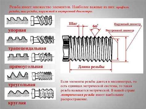 Шаг 1: определение и обозначение границ идеальной акцентироующей полоски на брови