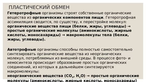 Шаг 3: Изготовление материала из органических компонентов