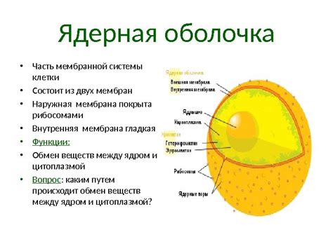 Шаг 3: Подготовка системы к отключению функции повышения ядерной производительности