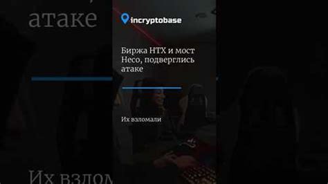 Шаг 3: Поиск и загрузка ТТ из альтернативного цифрового магазина
