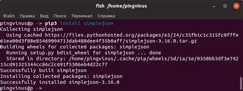 Шаг 3: Получение и установка пакета PIP