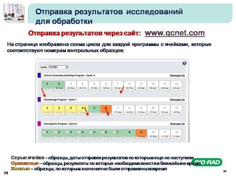 Шаг 6: Анализ результатов и устранение ошибок