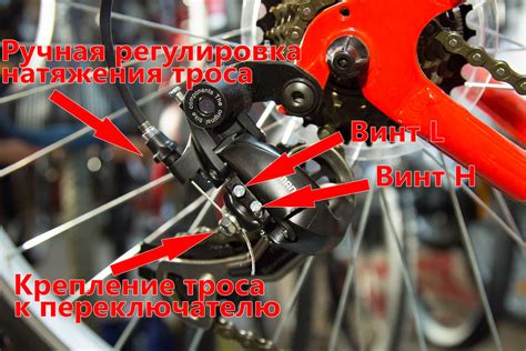 Шаг 6: Настройка заднего освещения
