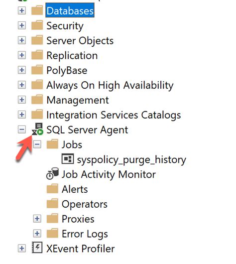 Шаг 9: Отслеживайте журналы и сообщения SQL Server Agent