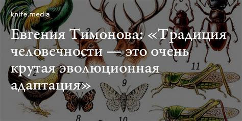 Эволюционная адаптация: необходимость переключения взгляда в определенных ситуациях
