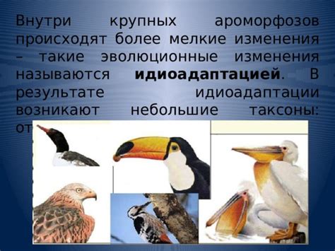 Эволюционные изменения поведения птиц в новых средах обитания