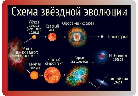 Эволюция истории "Букашек и солнца"