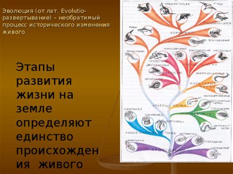 Эволюция нашей связи: процесс развития и изменения
