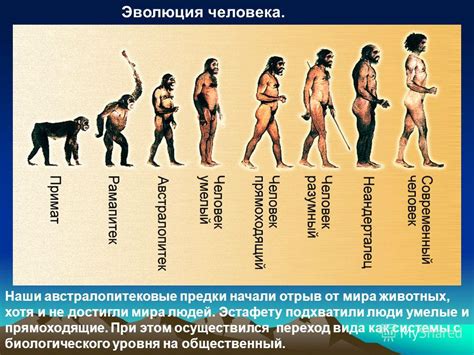 Эволюция происхождения и выбора имен юни в реальности