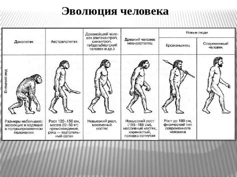 Эволюция суеверий: изменения и развитие ответов на вопросы о суеверных предрассудках со временем