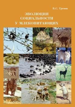 Эволюция сформирования социальности у существ