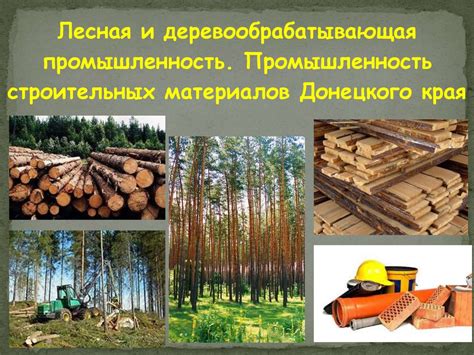 Экологические аспекты использования тропических древесин