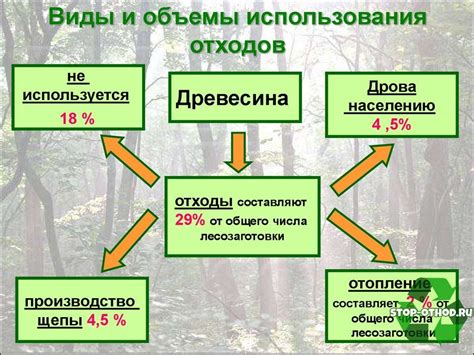 Экологические подходы к сохранению древесины