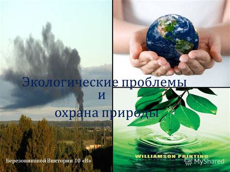 Экологические проблемы и сохранение природы