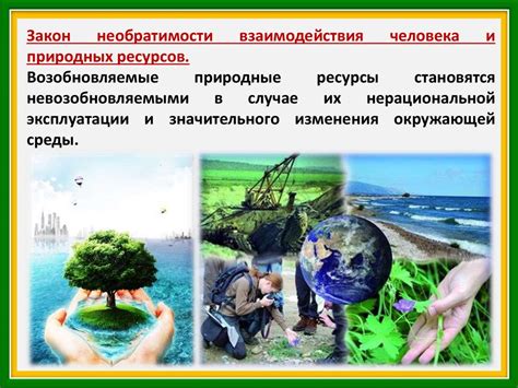 Экологическое воздействие содержания дельфинов: сохранение природы и разнообразие развлечений
