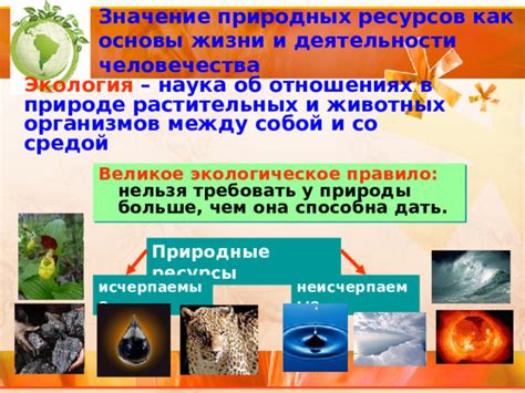 Экологическое значение использования природных ресурсов в поделках