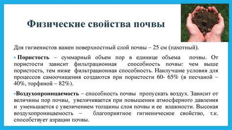 Экологическое значение тряски кустов