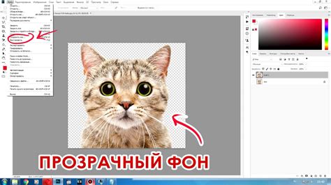 Экспортировать и сохранить изображение с прозрачным фоном
