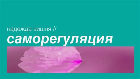 Эликсир для освобождения от эмоционального давления: эффективные практики саморегуляции
