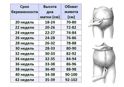 Эмоции, которые пробуждаются у женщин во время грез о путешествии