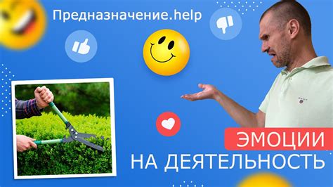 Эмоциональная реакция на непредвиденную потерю ценных предметов