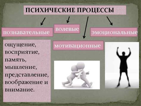 Эмоциональные факторы, влияющие на движение в животе