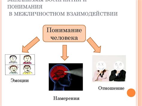 Эмпатичность и понимание собеседника: суть взаимодействия