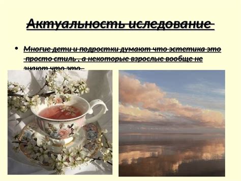 Эстетика и функциональность: выбор главных критериев