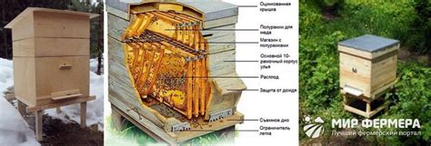 Этапы создания и установки ульев для обеспечения комфортных условий жизни пчел