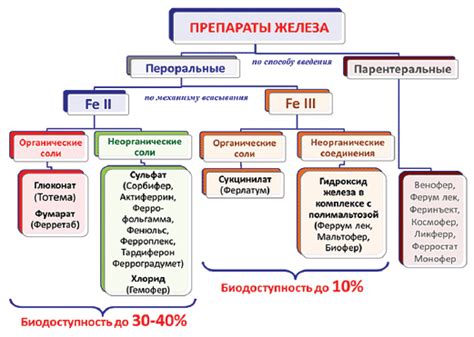 Эффективность и спектр действия препаратов: сравнение ключевых параметров
