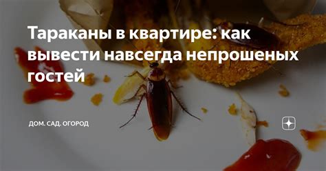 Эффективные методы выявления присутствия непрошеных гостей в матрасе