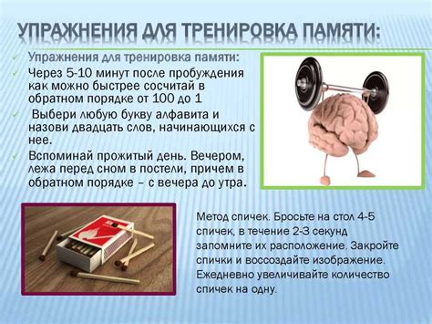 Эффективные способы сохранить в памяти содержание своих сновидений для последующего исследования