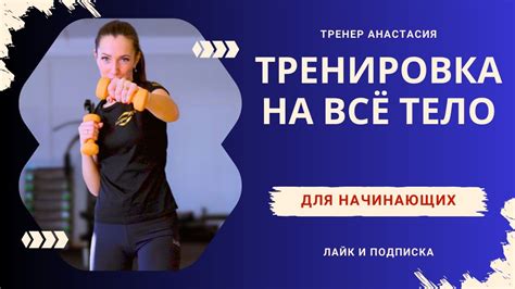 Эффективные упражнения для сжигания жира и укрепления тела