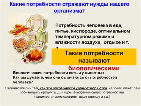 Эффекты действия потребности в питье китавы на функционирование организма