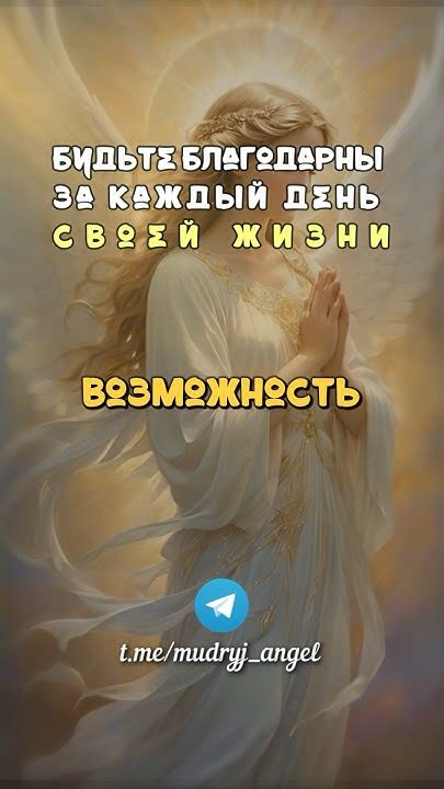  Будьте благодарны за каждую маленькую радость жизни 