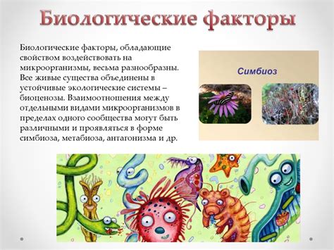  Влияние факторов на развитие микроорганизмов 