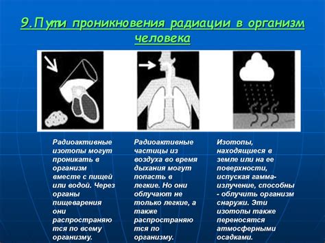  Влияние факторов окружающей среды на восприятие и возникновение жалоб
